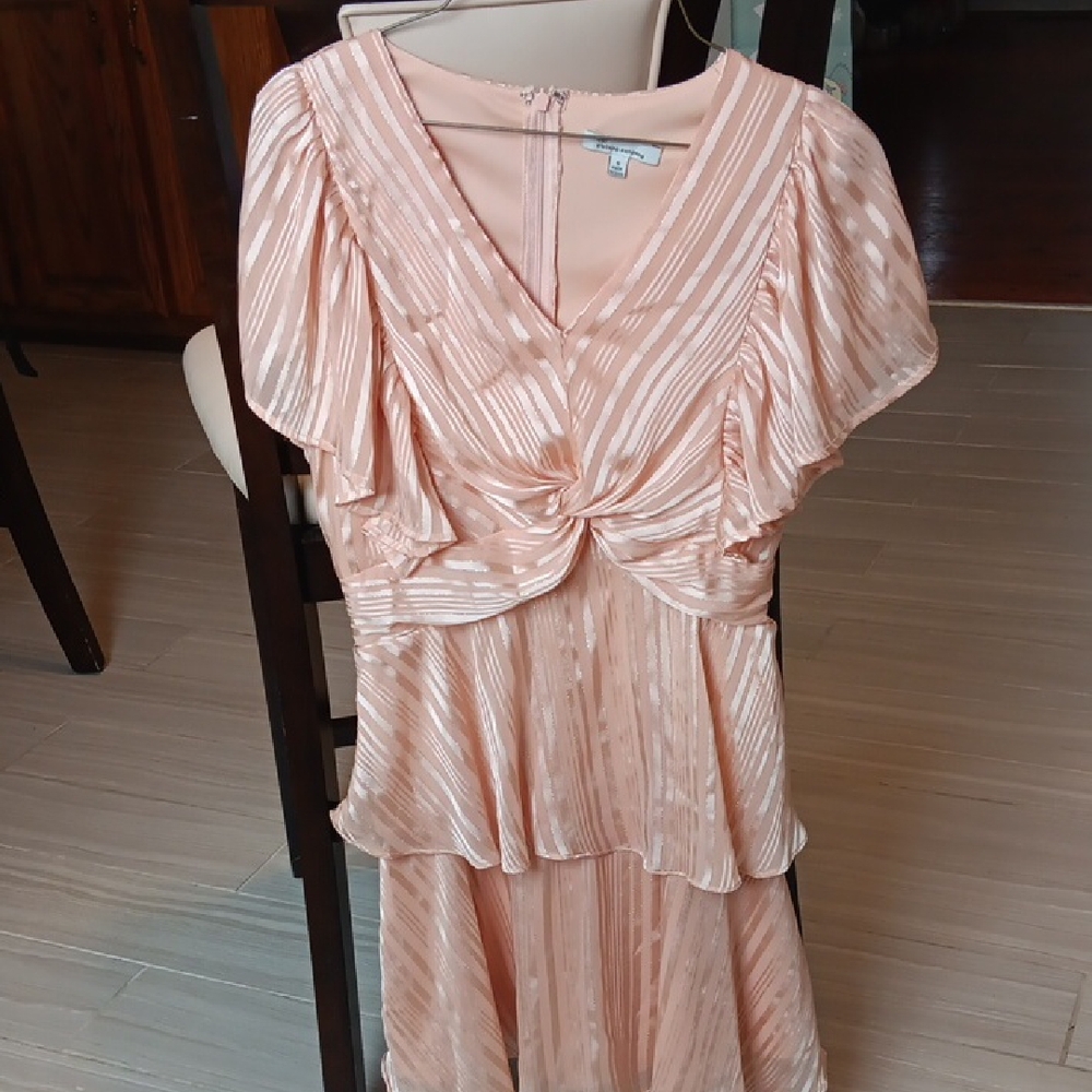 The Clothing Company Blush Striped Dress